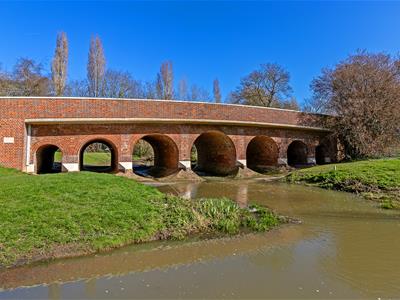 Picture 21